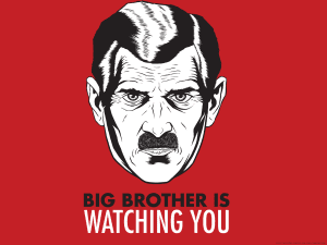 Một bức ảnh minh họa cho tiểu thuyết Big Brother. Ảnh: MEH