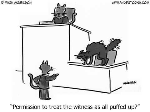 "Xin quý tòa ghi nhận nhân chứng đang xù lông nhím lên với tôi!" (Nguồn ảnh: andertoons.com)