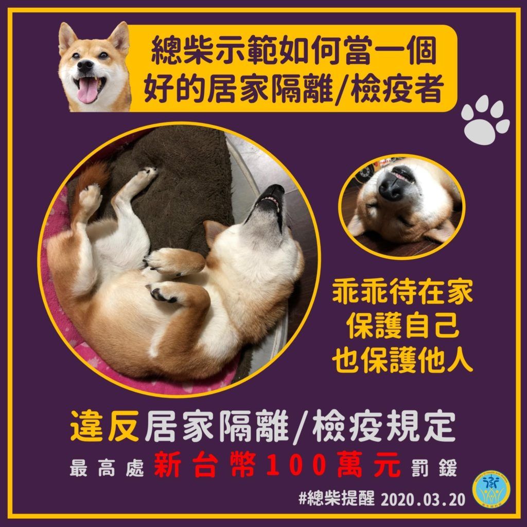“Chủ tịch chó” thị phạm việc thực hiện đúng hướng dẫn cách ly/ kiểm dịch tại nhà, kèm theo khuyến cáo mức phạt đối với hành vi vi phạm. Nguồn: Trang Facebook Bộ Y tế Đài Loan.