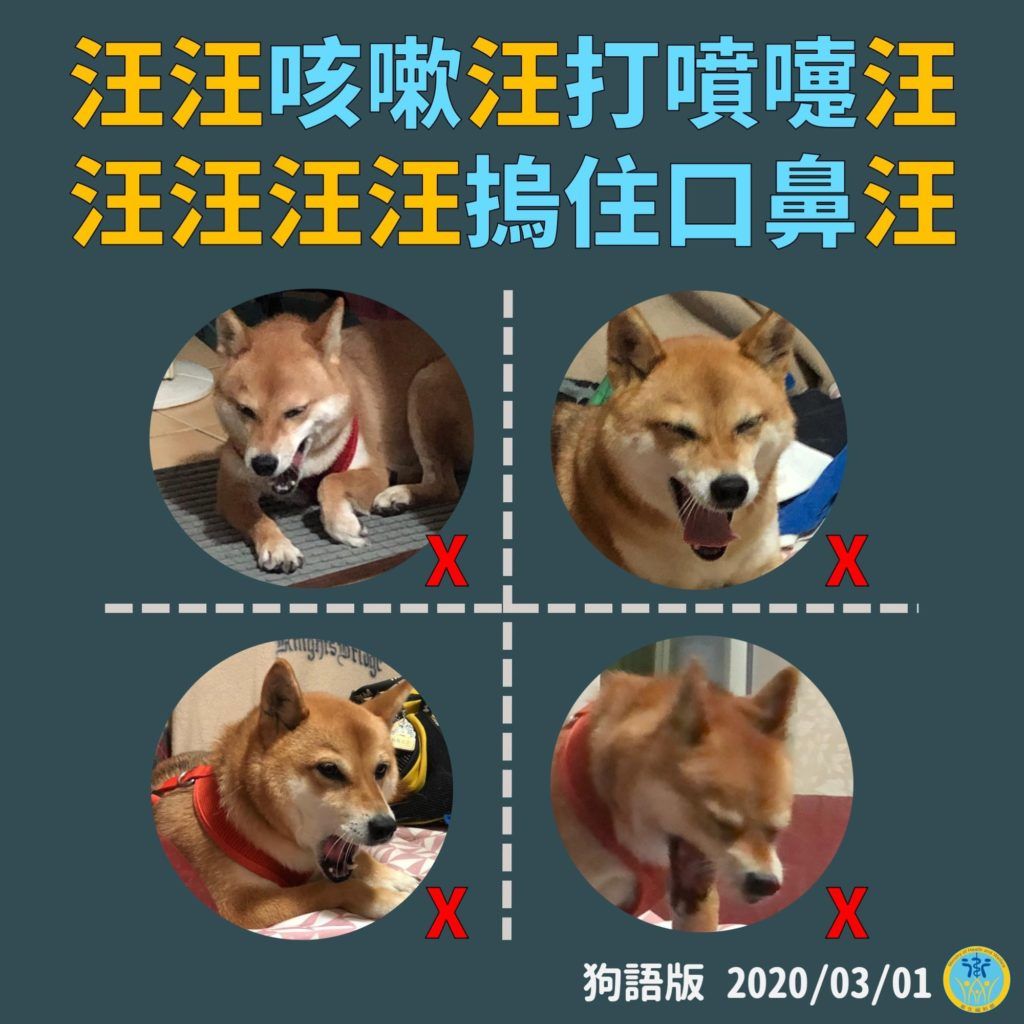 Phiên bản tuyên truyền theo tiếng chó, với dòng chữ “Gâu gâu, ho, gâu gâu, hắt xì, gâu gâu gâu gâu, nhớ che mũi miệng, gâu”. Nguồn: Trang Facebook Bộ Y tế Đài Loan.