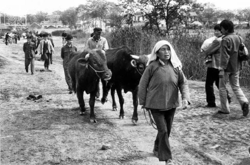 Dân làng Tiểu Cương, tỉnh An Huy vào năm 1982. Ảnh: 在线影展/ QQ.